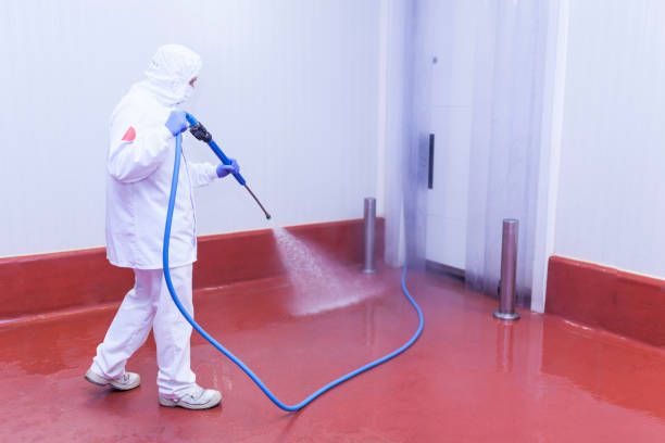 Best Spring Cleaning  in Bunnell, FL